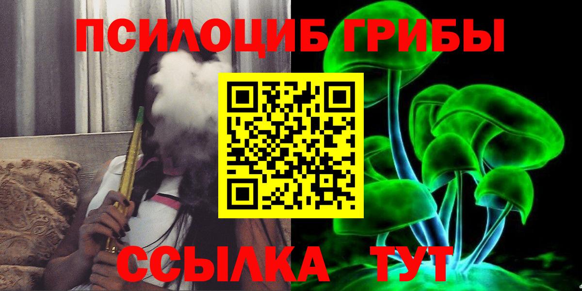 Псилоцибиновые грибы Psilocybine cubensis Йошкар-Ола