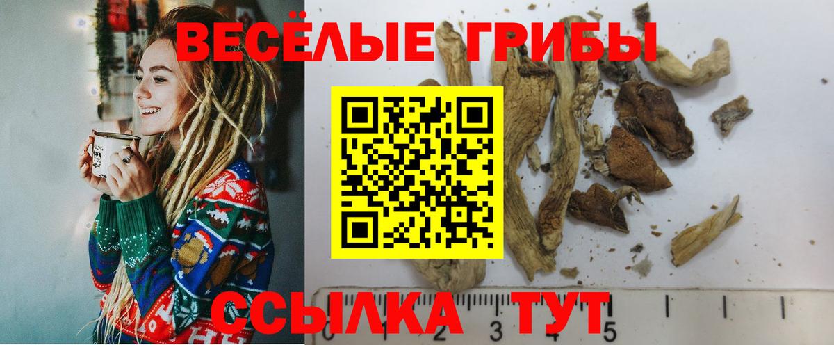 Галлюциногенные грибы Cubensis  Вход с VPN  Йошкар-Ола 